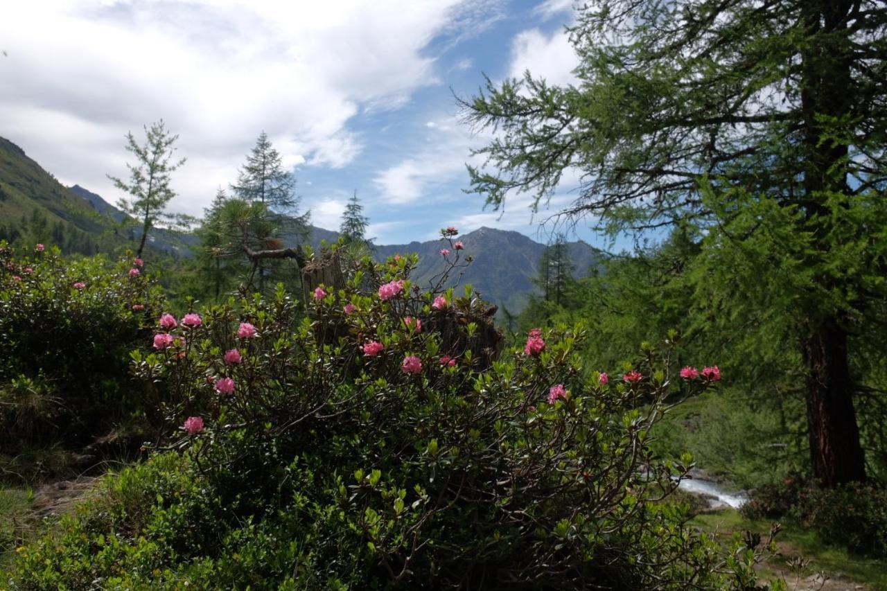 Apart Dorfbaeck Kaunertal Luaran gambar