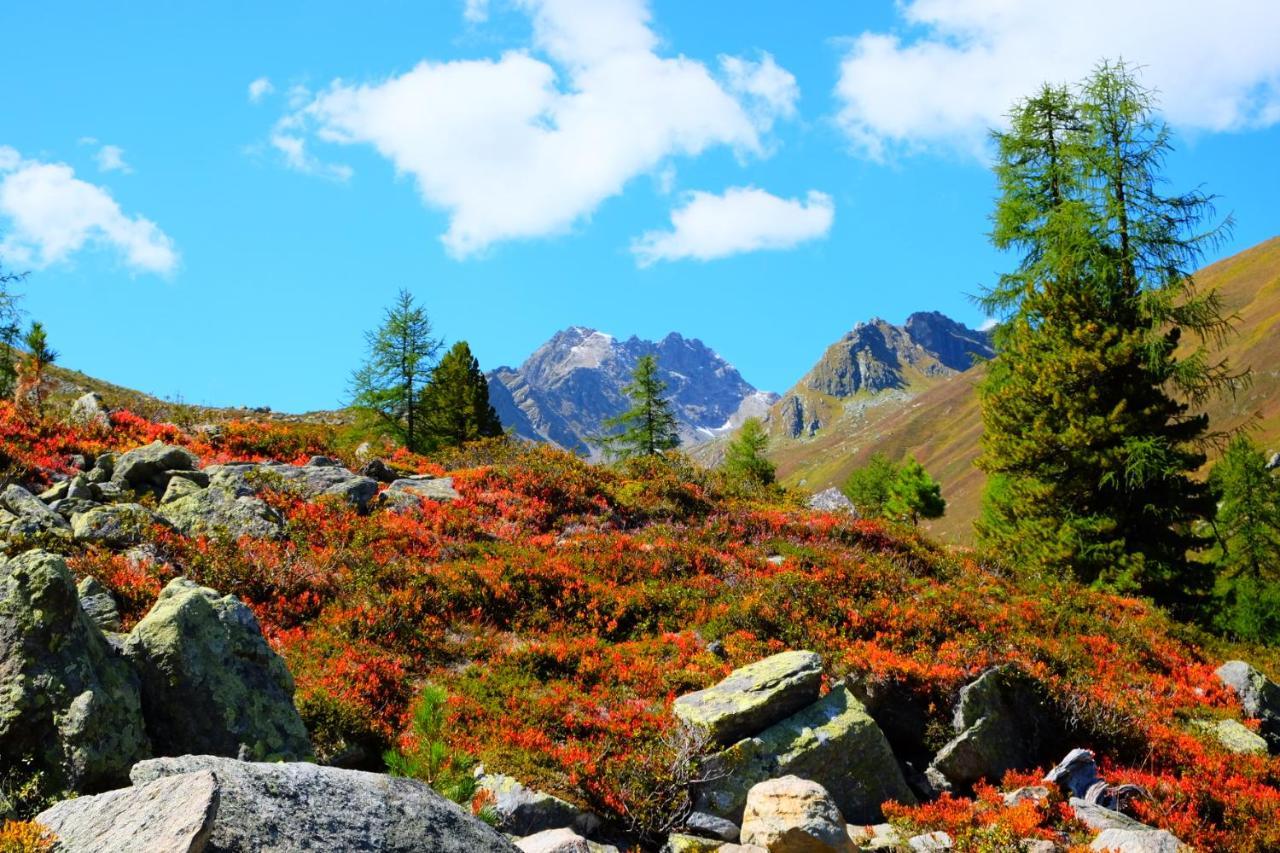 Apart Dorfbaeck Kaunertal Luaran gambar