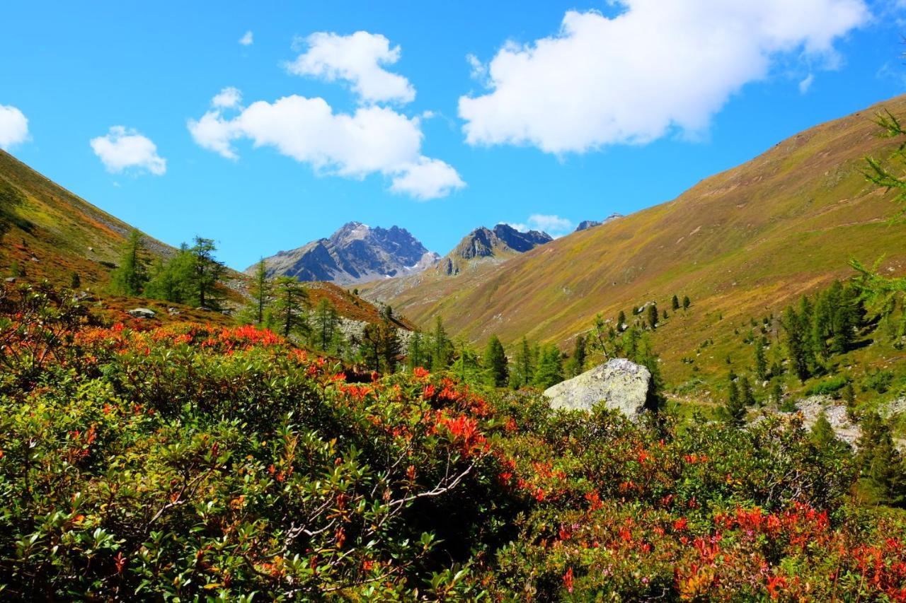 Apart Dorfbaeck Kaunertal Luaran gambar